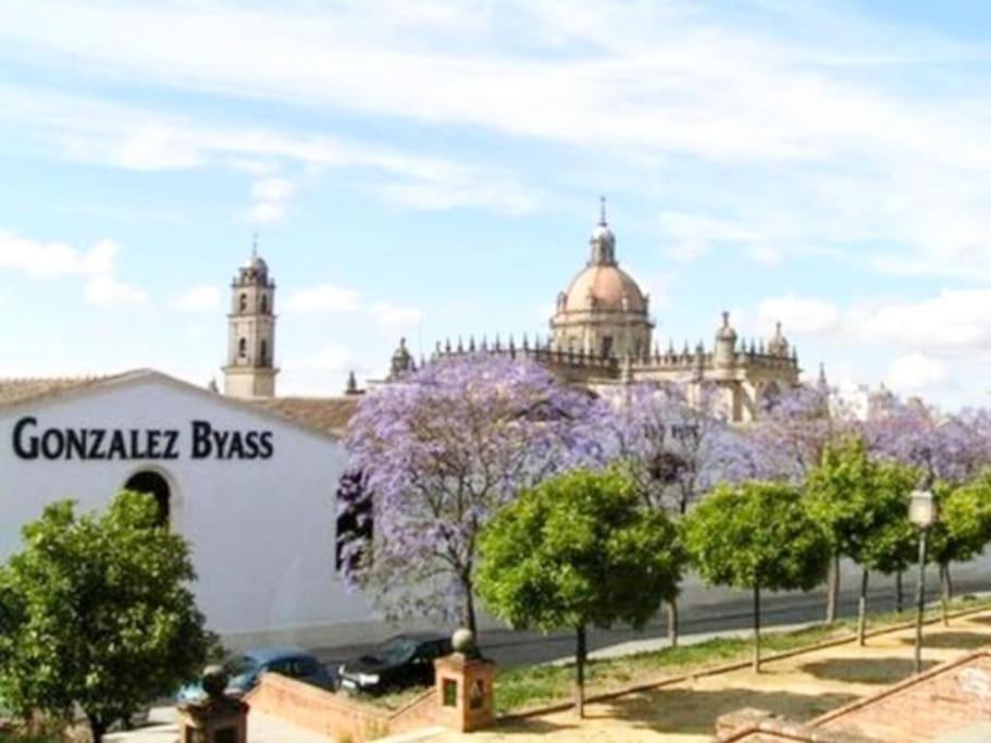 Apartamento Loft Jerez Buleria Jerez de la Frontera Exterior foto
